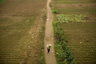 Vietnamese Farmer Walking Along Dirt Path