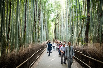 Group of People Walking Through Bamboo Forest, Kyoto, Japan