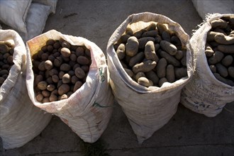 Bags of Potatoes at Market, Siquisili, Ecuador