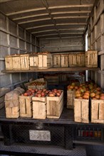 Truck Full of Crates of Tomatoes