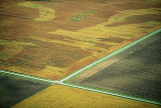 Intersected Fields, Indiana, USA, High Angle View