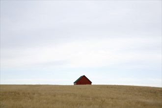 Lone Barn in a Field