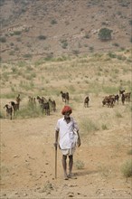 Desert Goat Shepherd, Pushkar, India