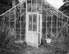 Old Glass Greenhouse