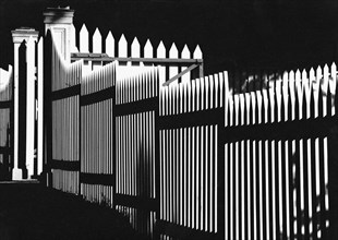 Graphic White Picket Fence