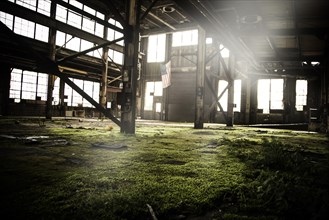 Interior of Abandoned Warehouse with Grass Floor