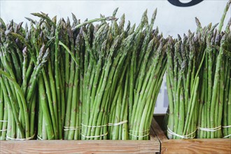 Bunches of Asparagus Sprigs Standing Upright