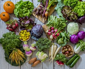 Assortment of Fresh Garden Vegetables