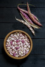 Raw Pinto Beans in Bowl next to Bean Pods