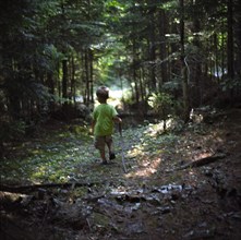 Young Boy with Stick Walking Through Woods