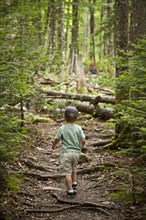 Young Boy Hiking on Path in Woods, Rear View