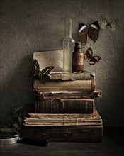 Butterflies and Old Books