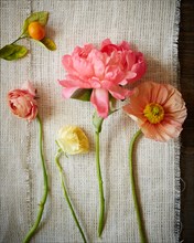 Stems of Pink Flowers on Gauze Fabric