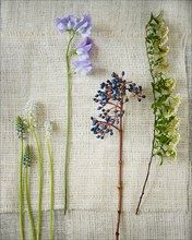 Wildflower Stems on Gauze Fabric