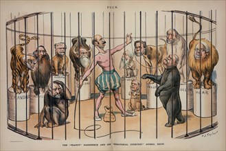 Political Cartoon Featuring U.S. Senator and for New York Governor David B. Hill, The "peanut" Hagenbeck and his "Senatorial Courtesy" Animal Show, drawing by Charles Jay Taylor, Lithograph by J. Otto...