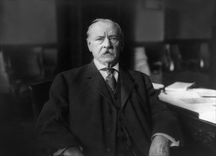 Grover Cleveland (1837-1908), 22nd and 24th President of the United States 1885–89 and 1893–97, Head and Shoulders Portrait at Home, Princeton, New Jersey, USA, Photograph by New York Herald Company, ...