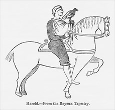 Harold, from the Bayeux Tapestry, Harold II Riding on Horse with Hawk Perched on his Hand, Illustration from John Cassell's Illustrated History of England, Vol. I from the earliest period to the reign...