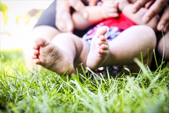 Infant Boy's Bare Feet in Grass