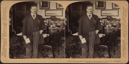 President Theodore Roosevelt in his office, the Cabinet Room, White House, Washington, USA, Stereo Card, Underwood & Underwood, 1902