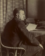Theodore Roosevelt (1858-1919) 26th President of the United States 1901-09, Three-Quarter Length Portrait, Photograph by Arthur Hewitt, June 7, 1901