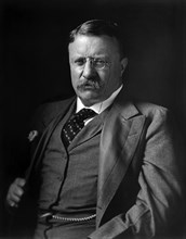 Theodore Roosevelt (1858-1919) 26th President of the United States 1901-09, Half-Length Portrait, Harris & Ewing, 1907
