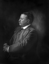 Theodore Roosevelt (1858-1919) 26th President of the United States 1901-09, Half-Length Profile Portrait, Harris & Ewing, 1907