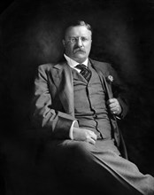 Theodore Roosevelt (1858-1919) 26th President of the United States 1901-09, Three-Quarter Length Seated Portrait, Harris & Ewing, 1907