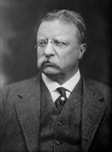 Theodore Roosevelt (1858-1919) 26th President of the United States 1901-09, Head and Shoulders Portrait, Bain News Service, 1915