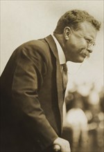 Theodore Roosevelt (1858-1919), 26th President of the United States 1901-09, Half-Length Profile Portrait, November 1911