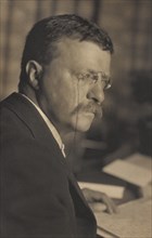 Theodore Roosevelt (1858-1919), 26th President of the United States 1901-09, Head and Shoulders Portrait, Photograph by Arthur Hewitt, 1901