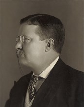 Theodore Roosevelt (1858-1919), 26th President of the United States 1901-09, Head and Shoulders Profile Portrait, Photograph by Pach Bros., 1904