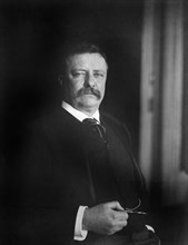 Theodore Roosevelt (1858-1919), 26th President of the United States 1901-09, Half-Length Portrait, Photograph by James Martin Miller, 1904