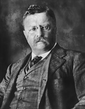Theodore Roosevelt (1858-1919), 26th President of the United States 1901-09, Half-Length Portrait, Photograph by Moffett Studio, Chicago, 1910