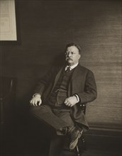 Theodore Roosevelt (1858-1919), 26th President of the United States 1901-09, Seated Portrait, 1912