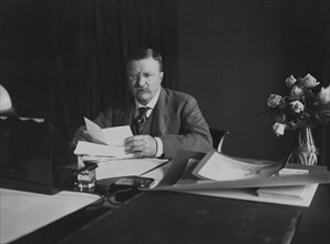 Theodore Roosevelt (1858-1919), 26th President of the United States 1901-09, Seated Portrait at Desk, Photograph by Barnett McFee Clinedinst, 1904