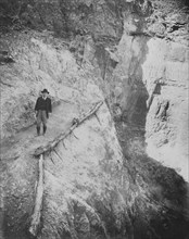 Theodore Roosevelt on Jacob's Ladder Trail, Utah, USA, Photograph by Kolb Bros., May 1911