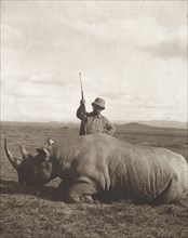 Former U.S. President Theodore Roosevelt Standing over Rhino he has shot while on Extended African Safari, Smithsonian-Roosevelt African Expedition, Photograph by Edward Van Altena, 1910