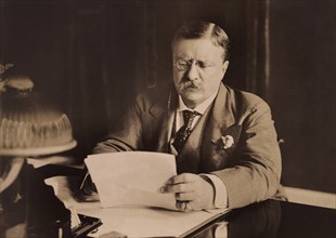 U.S. President Theodore Roosevelt Sitting at Desk Reading, Photograph by Harris & Ewing, 1906