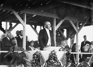 U.S. President Woodrow Wilson Addressing Crowd at Dedication of Confederate Memorial at Arlington National Cemetery, Arlington, Virginia, USA, Harris & Ewing, June 4, 1914