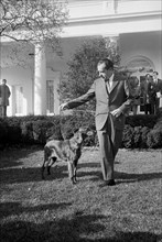 U.S. President Richard Nixon with his Pet, King Timahoe, an Irish Setter, on White House Lawn, Washington, D.C., USA, photograph by Warren K. Leffler, January 28, 1969