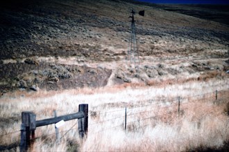 Weather Vane in Fenced Rural Landscape