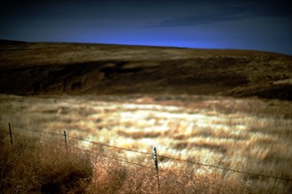 Fenced Rural Landscape, Illuminated Meadow