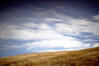 Rural Landscape with Atmospheric Cloudscape