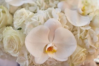 Wedding Bouquet of White Orchids and Roses, Close-up