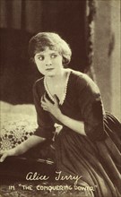 Alice Terry, woman, actress, celebrity, entertainment, historical,
