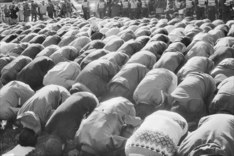 people, protest, demonstration, prayer, Iran hostage crisis, historical,