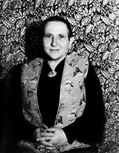 Gertrude Stein, woman, literature, historical, arts & culture,