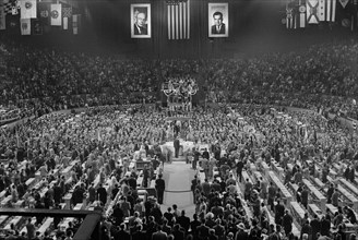 convention, presidential election, Dwight Eisenhower, politics, 1956, historical,
