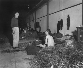 concentration camp, men, Jews, World War II, WWII, historical,