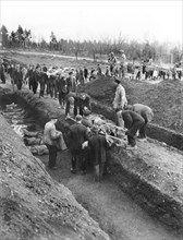 concentration camp, death, World War II, WWII, historical,
